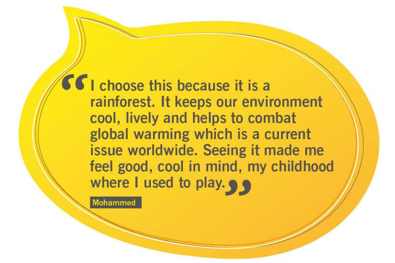 Quote from Mohammed: i choose this because it is a rainforest. it keeps our environment cool, lively and helps to combat global warming which is a current issue worldwide. seeing it made me feel good cool in mind my childhood where i used to play.