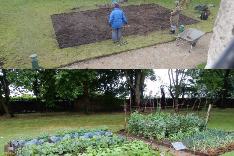 before and after image. before shows rectangle of soil and gardening tools. after shows a growing vegetable garden.