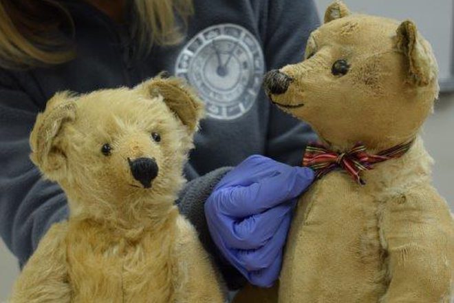 Two teddy bears. Gloved hands are adjusting one's bow.