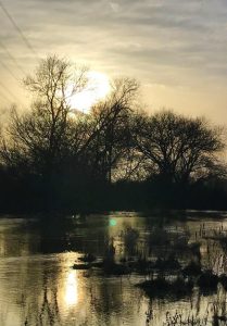 Photography at sunset of a flooded meadow