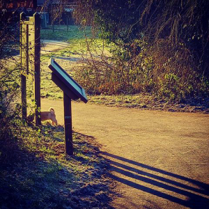 Entrance to nature reserve with a noticeboard 