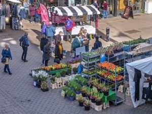 View from above of market stalls selling plants