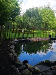 Wildlife pond with rocks and pebbled area around the edge. 