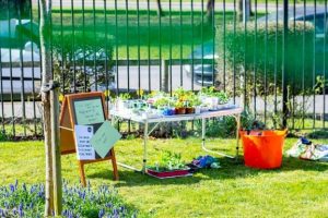 Table outdoors with lots of plant pots on it.