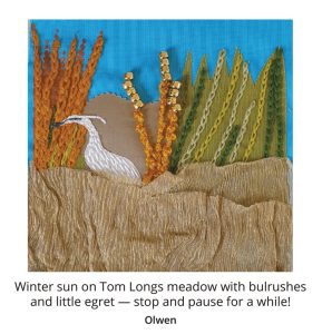 Image of Olwen's patch of a bird stood amongst plants. The caption reads: winter sun on tom longs meadow with bulrushes and little egret. stop and pause for a while